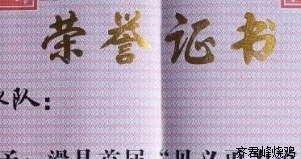 昨天，山东司机驾驶百万“宝马”一头扎进河里，滑县这帮人……